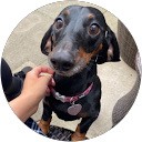 lola - mae profile picture