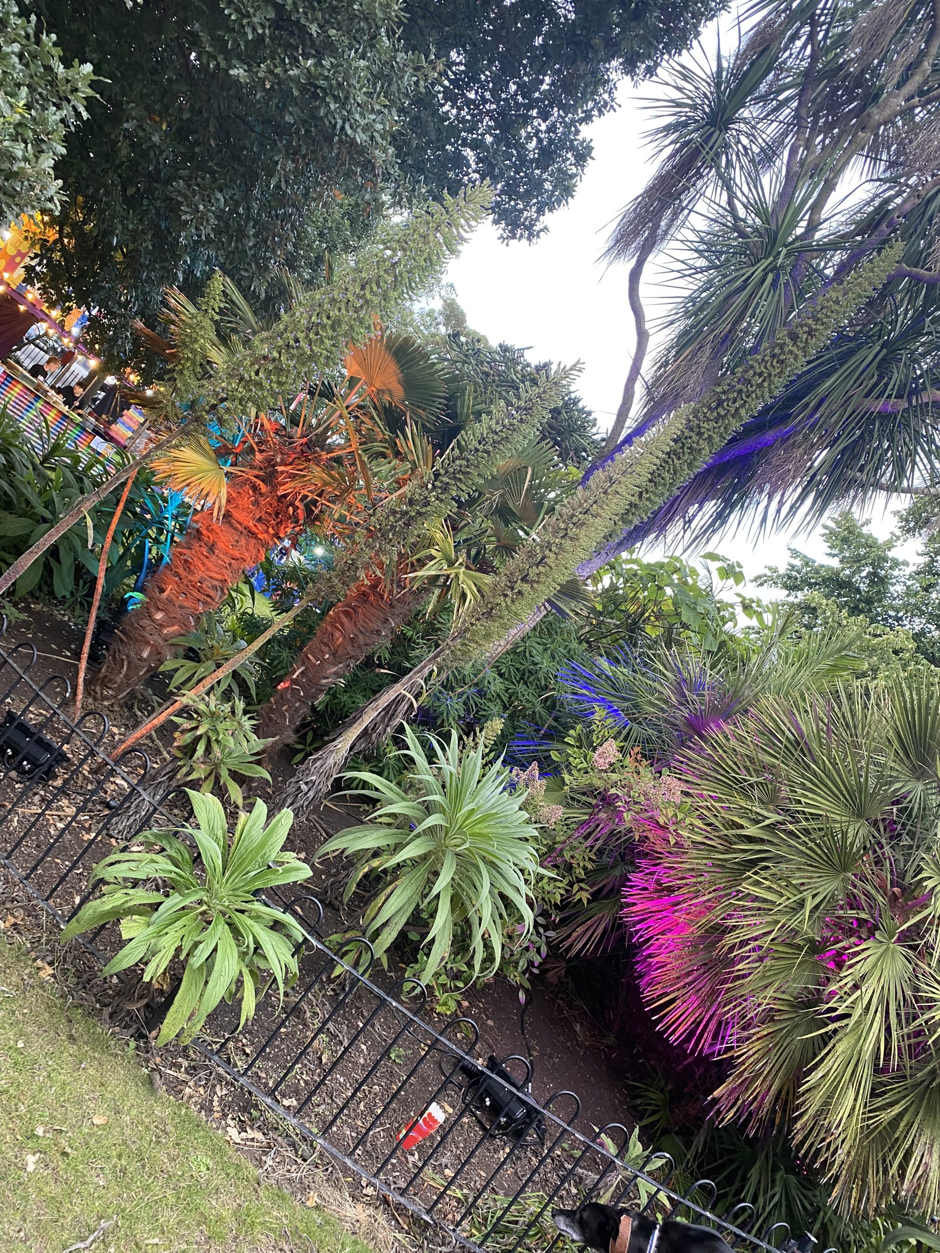 Manor Gardens flowers and pathways Exmouth