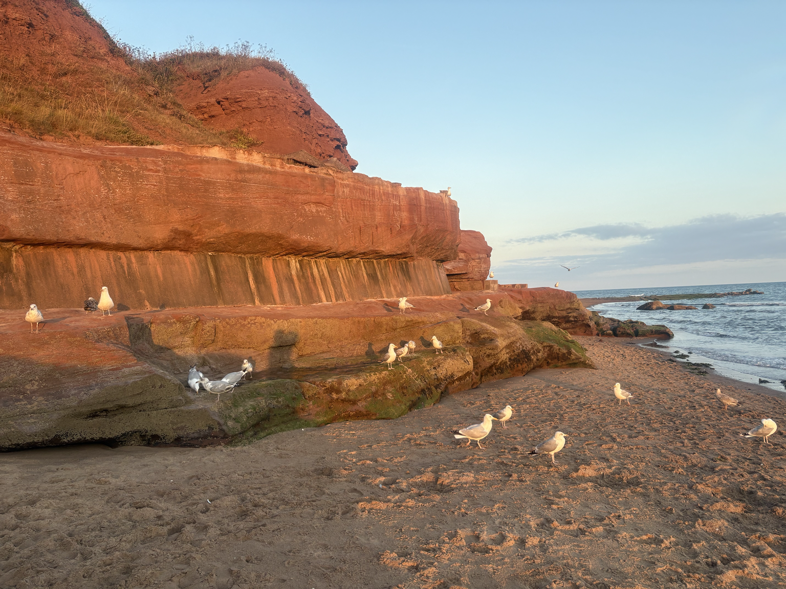 Exmouth Beach and the red cliffs of the Jurassic Coast in Devon