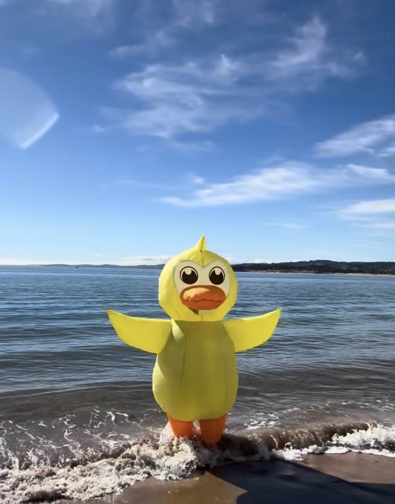 Arty Duck the mischievous yellow mascot